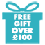 FREE GIFT over £100