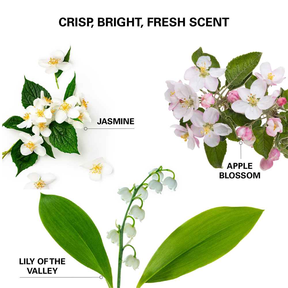 Color Wow Insta-Wow Dry Shampoo 200ml