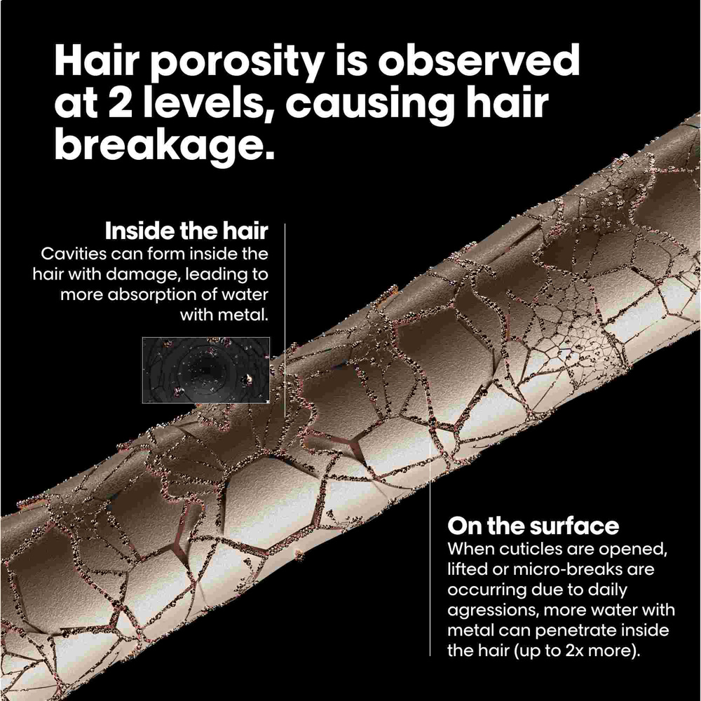 Loreal Professional Metal Detox Pre Shampoo Treatment 250ml